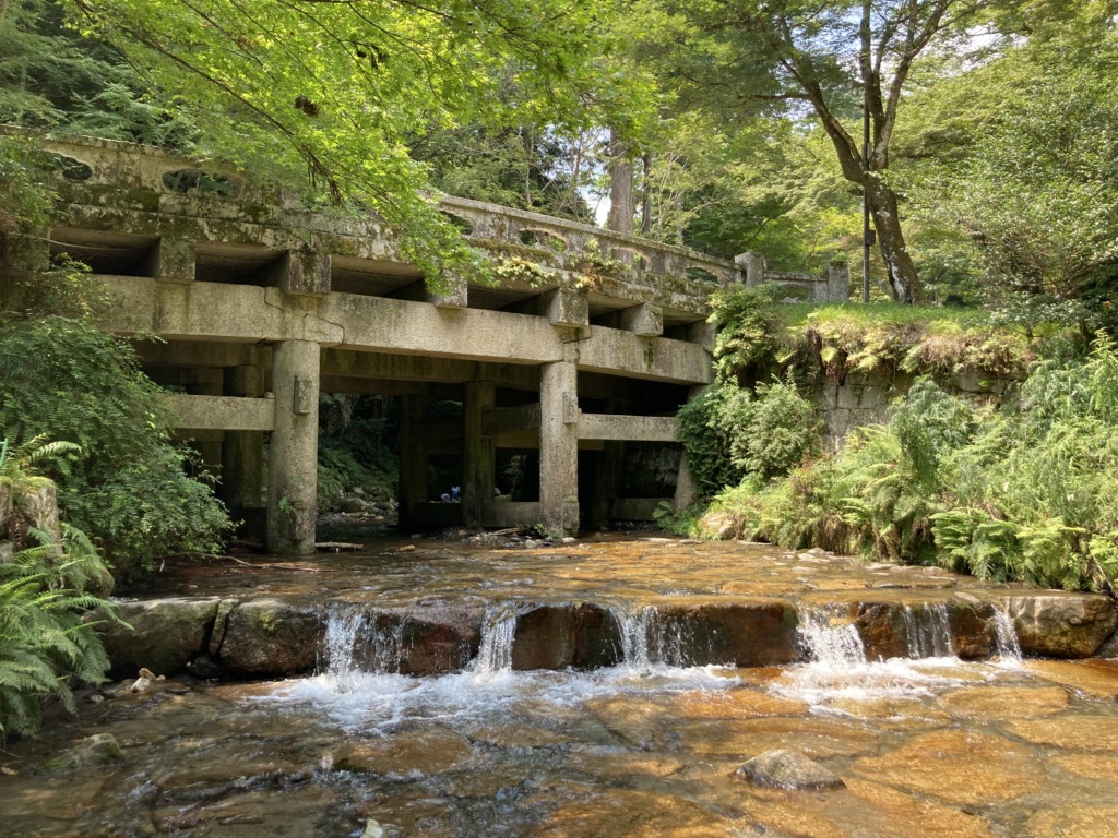 大津市 川遊び 日吉大社