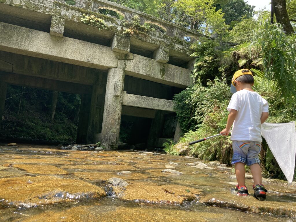 大津市 川遊び 日吉大社