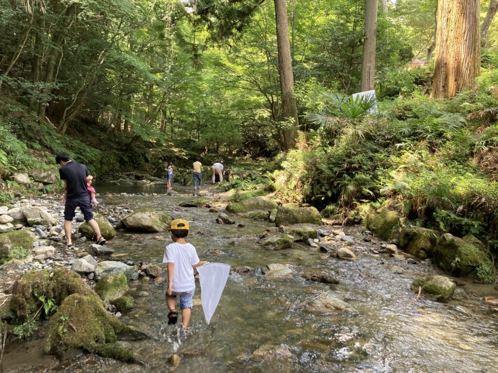 大津市 川遊び 日吉大社