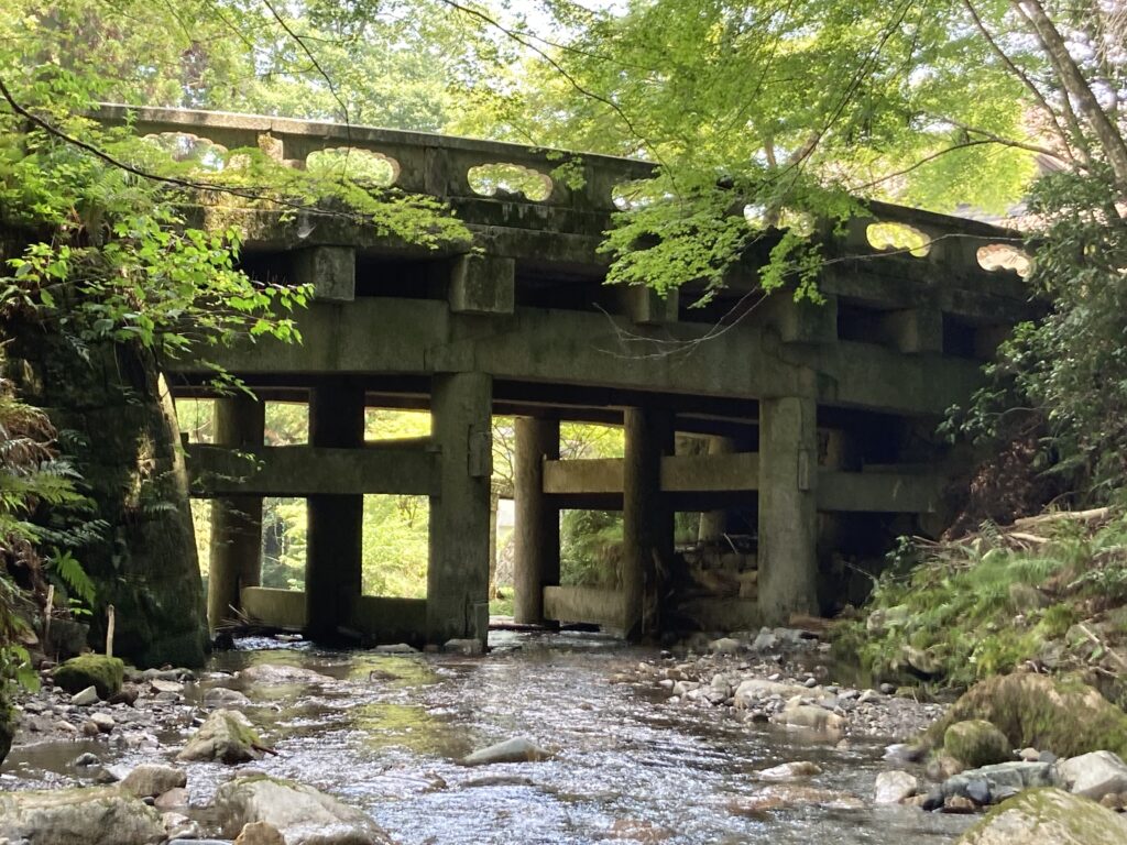 大津市 川遊び 日吉大社