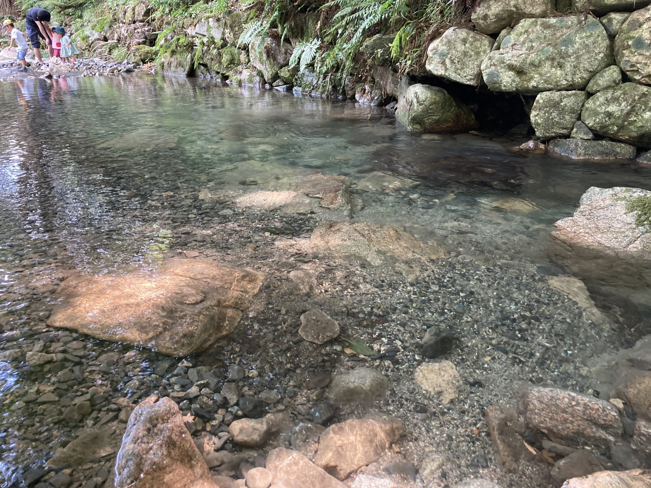 大津市 川遊び 日吉大社