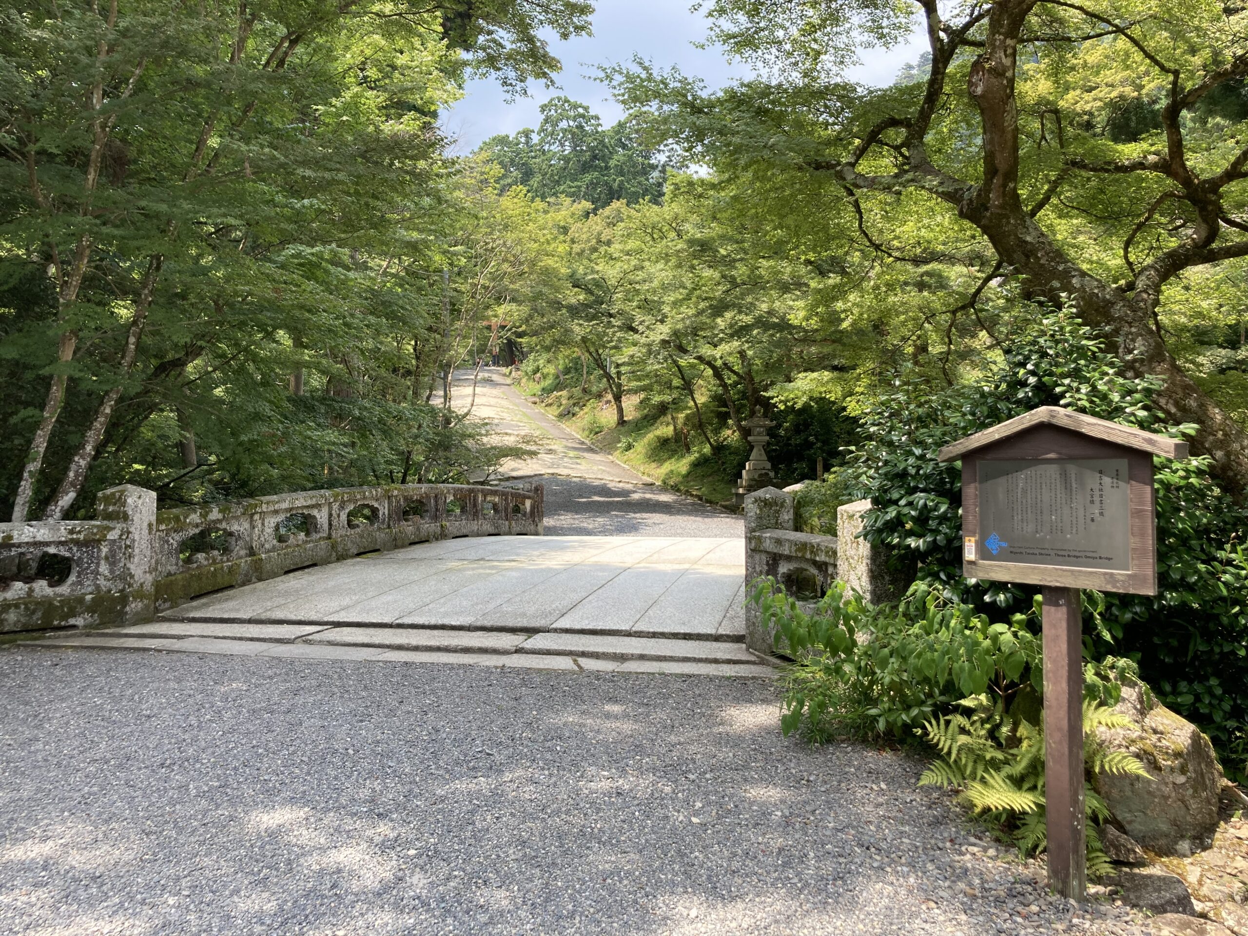 大津市 川遊び 日吉大社