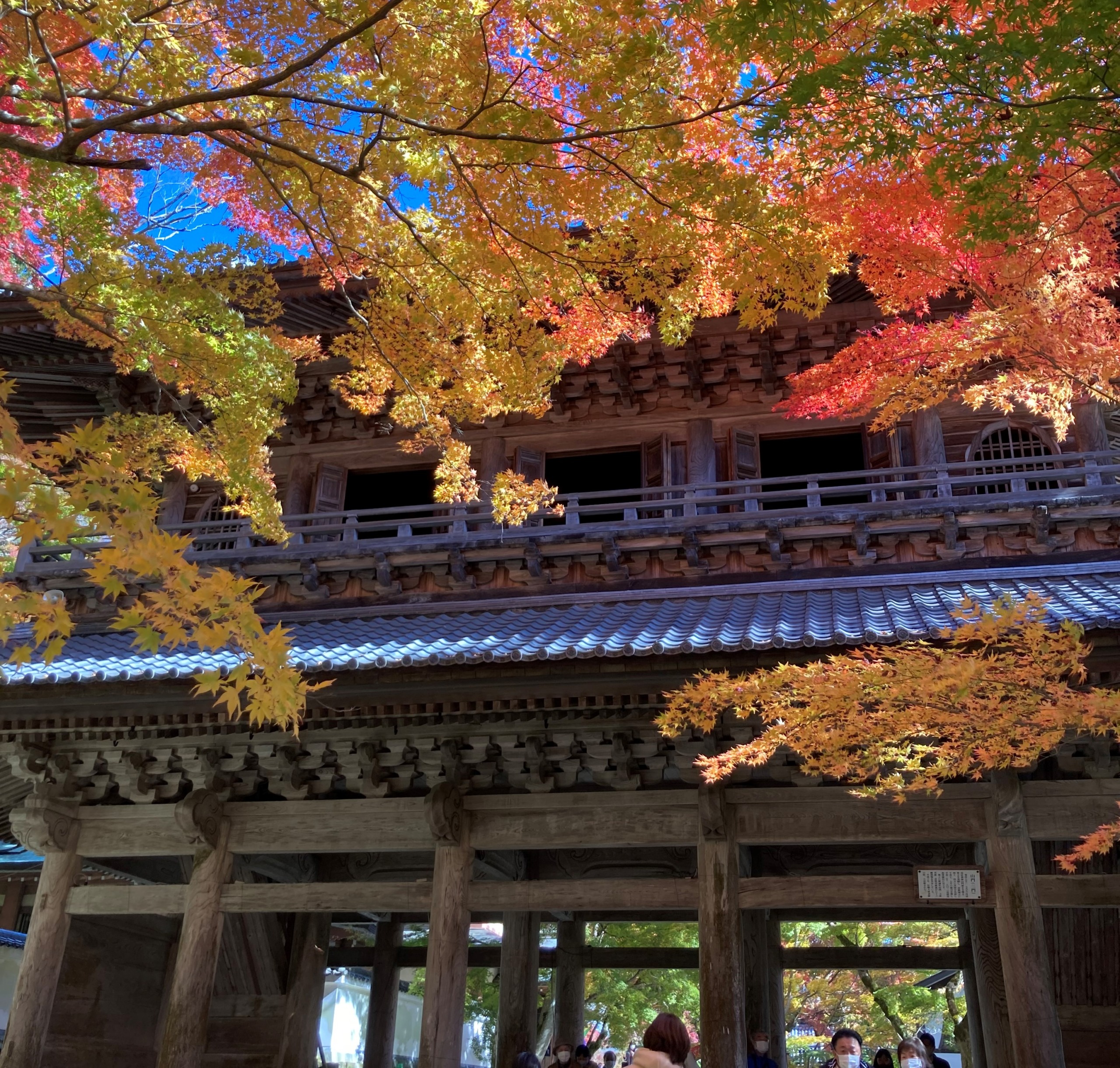 永源寺　紅葉　きれい