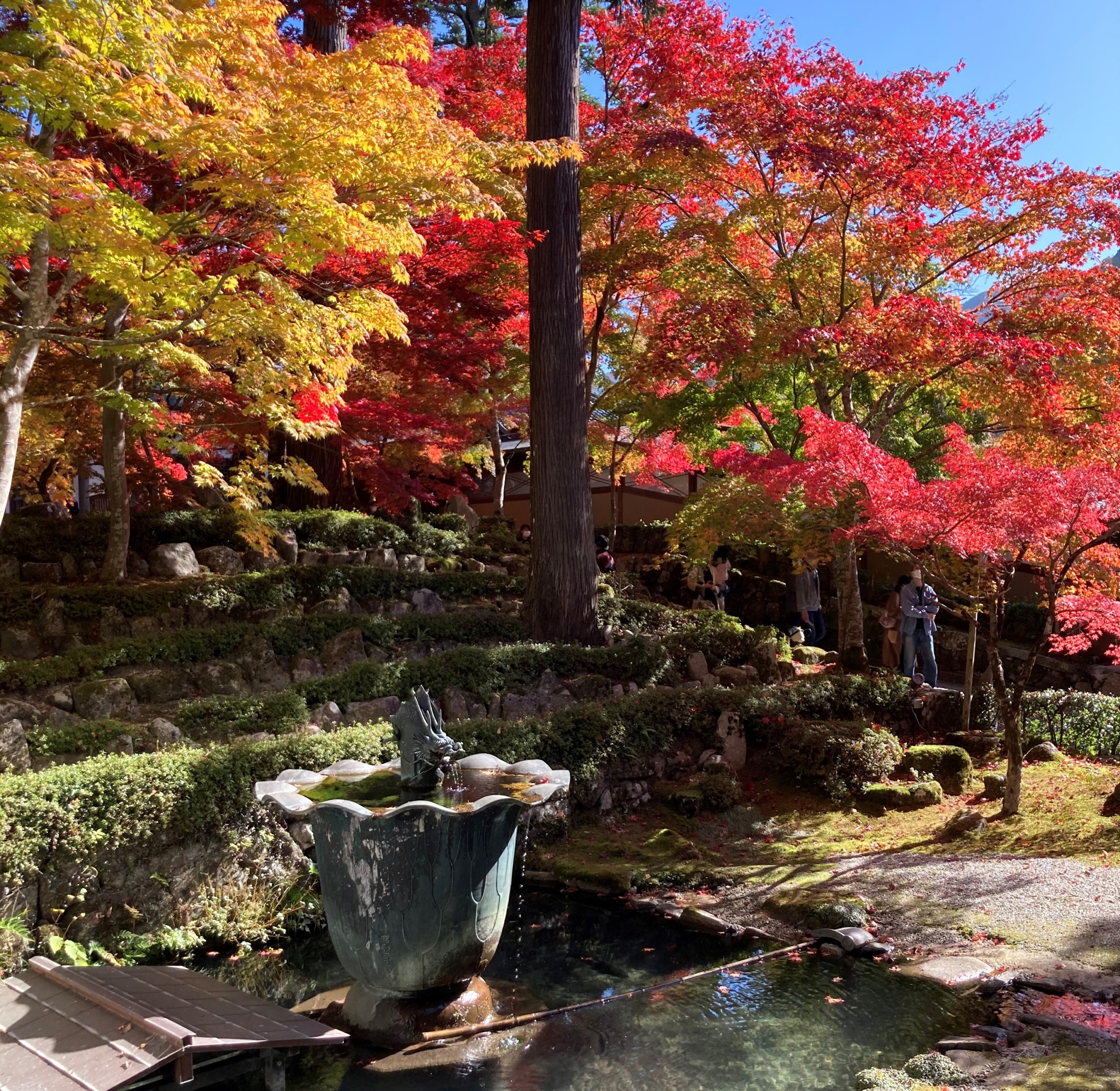 永源寺　紅葉　きれい