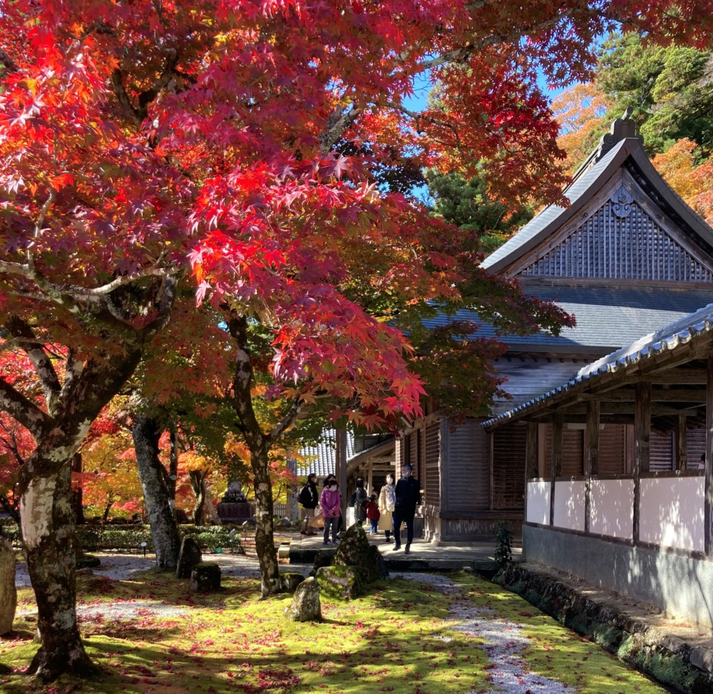 永源寺　紅葉　きれい