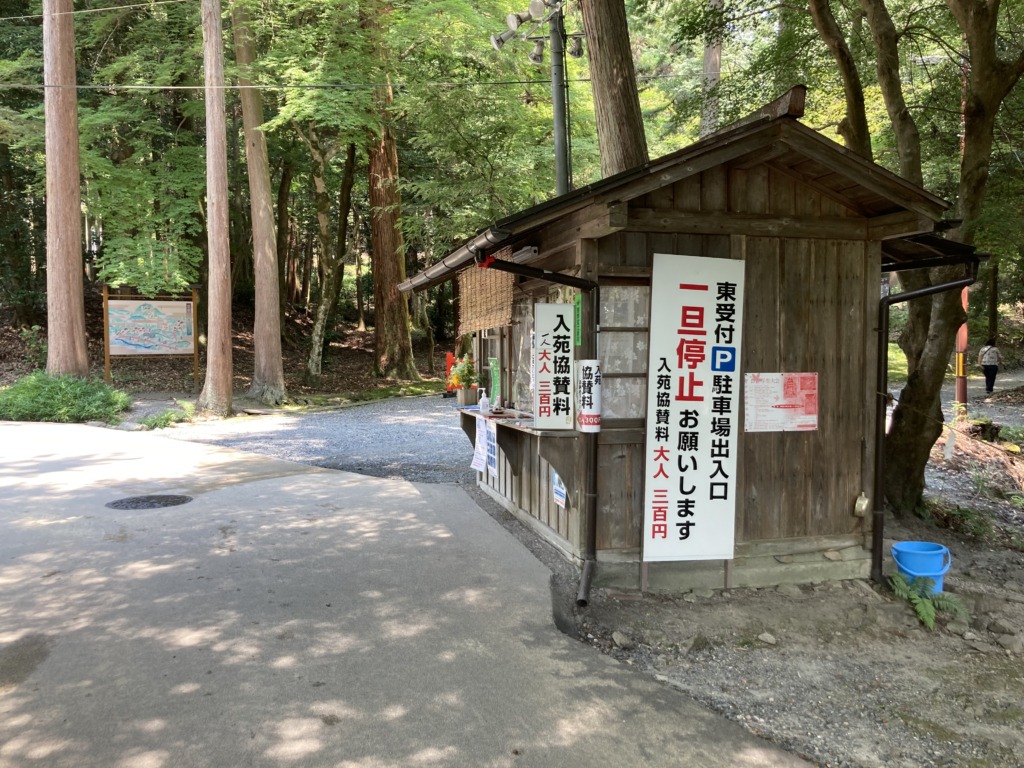 大津市 川遊び 日吉大社