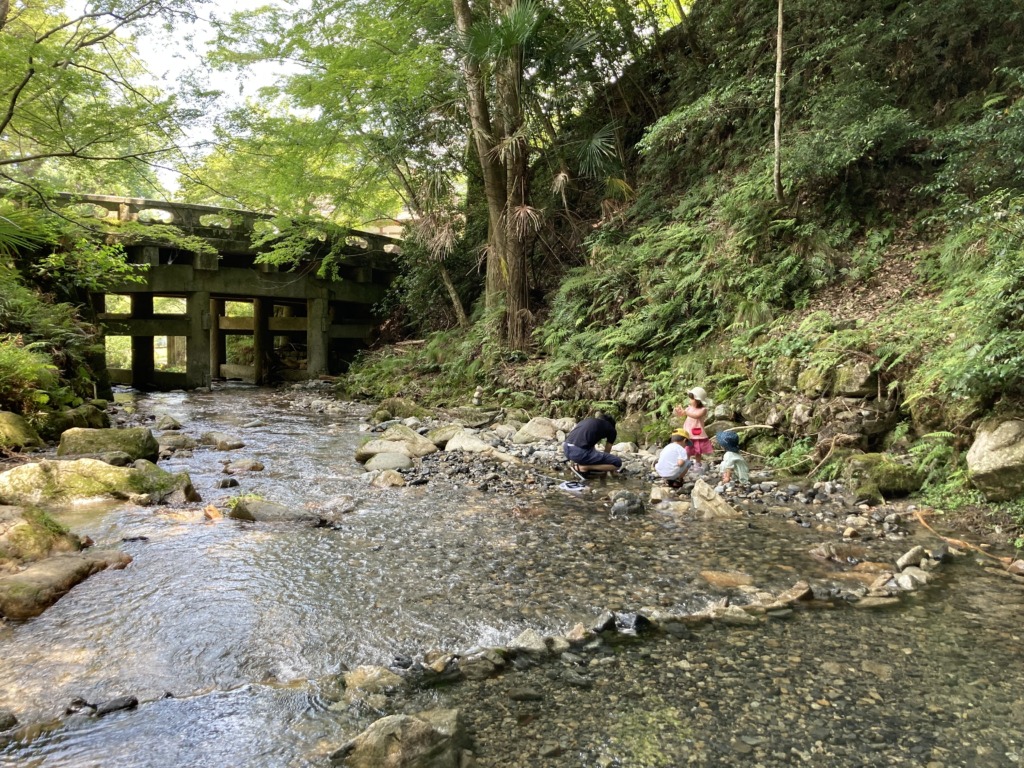 大津市 川遊び 日吉大社