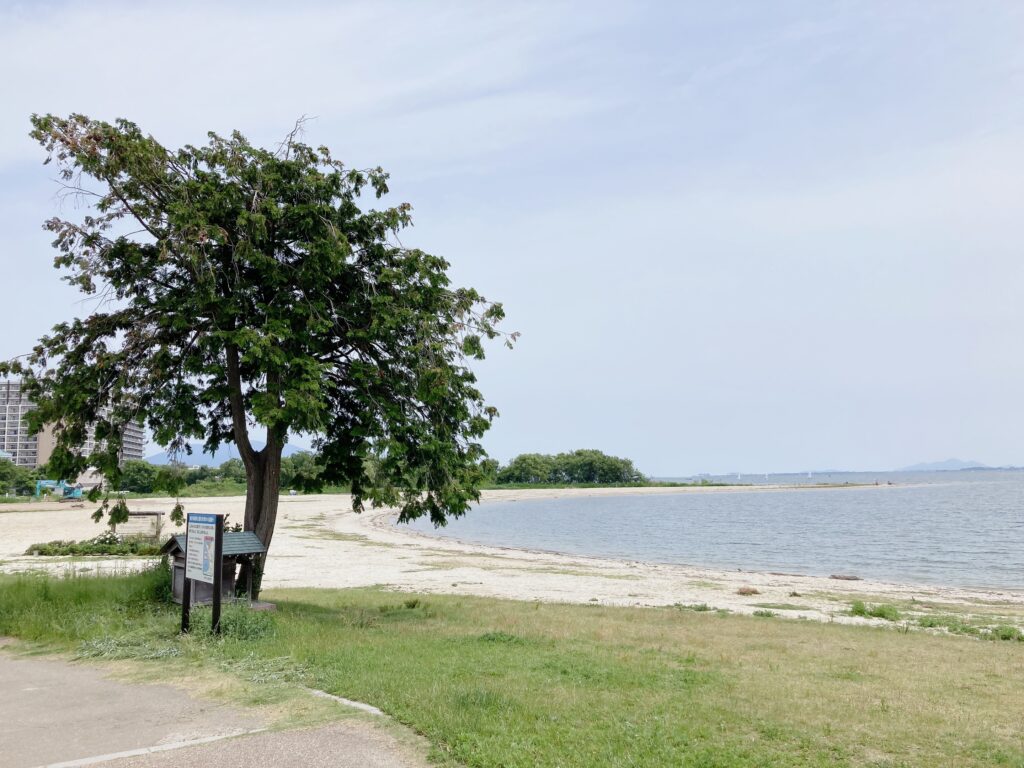 滋賀 無料ビーチ  穴場 柳ヶ崎湖畔公園