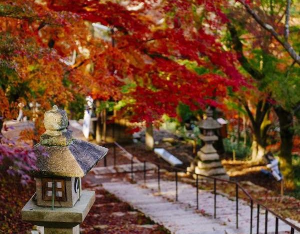 三井寺　紅葉