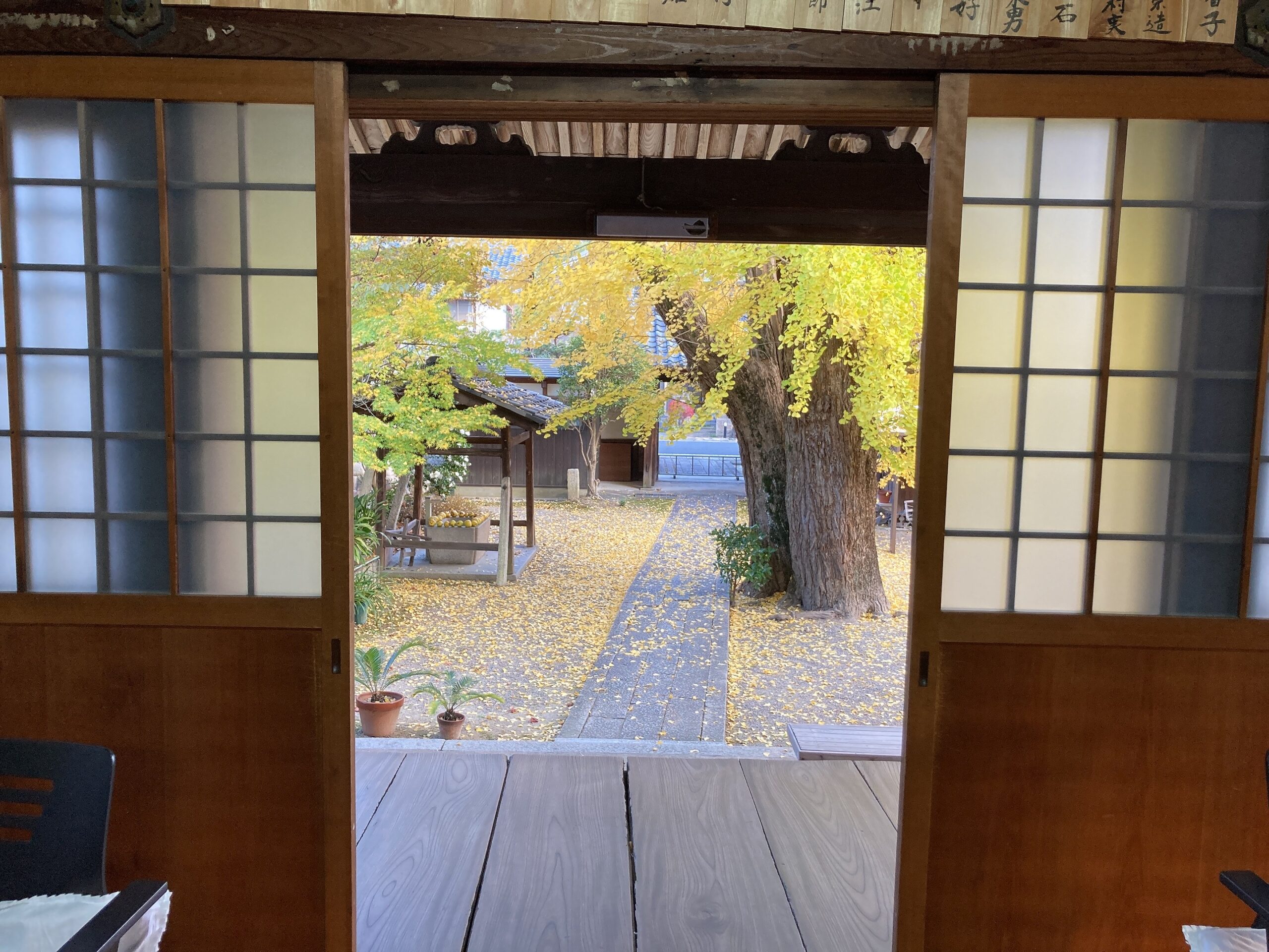 栗東 紅葉 専光寺