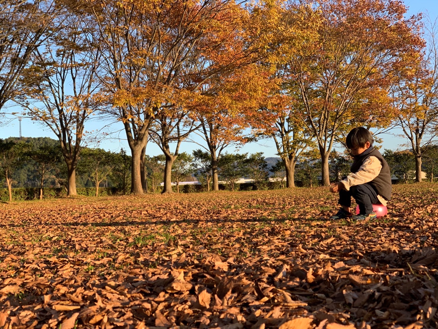 グリーンパーク山東