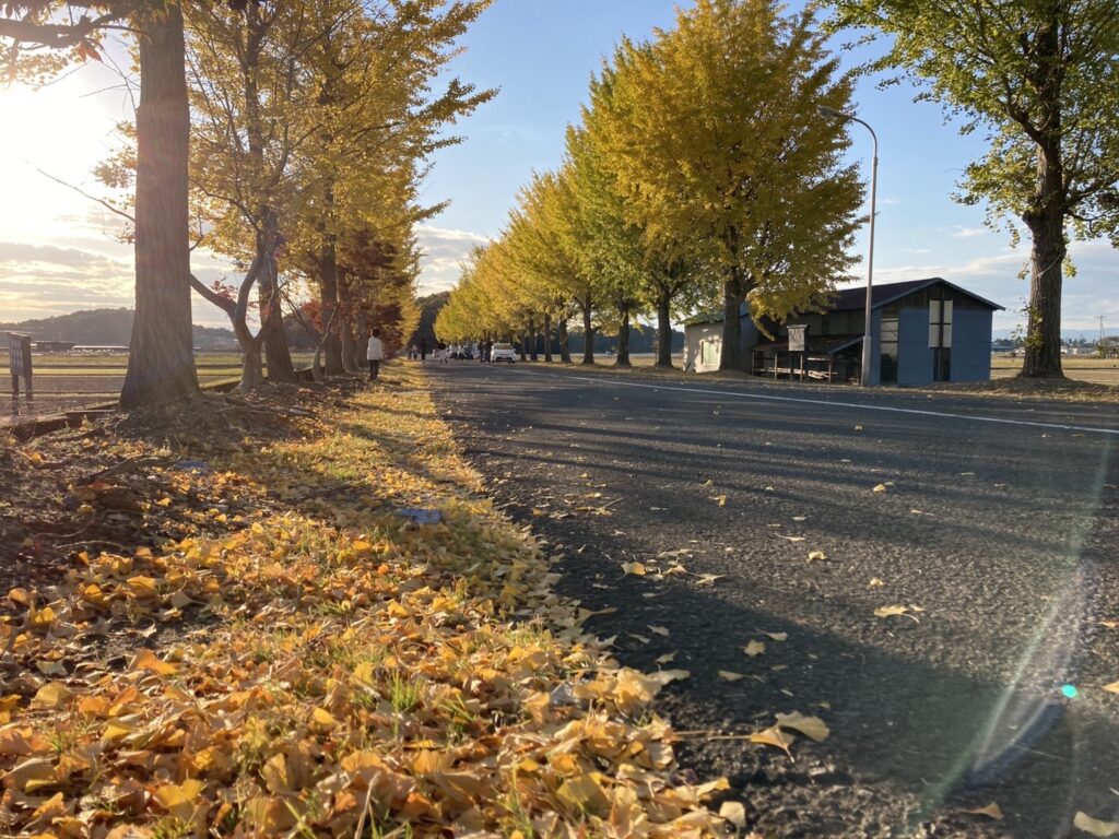 紅葉　長浜農業高校