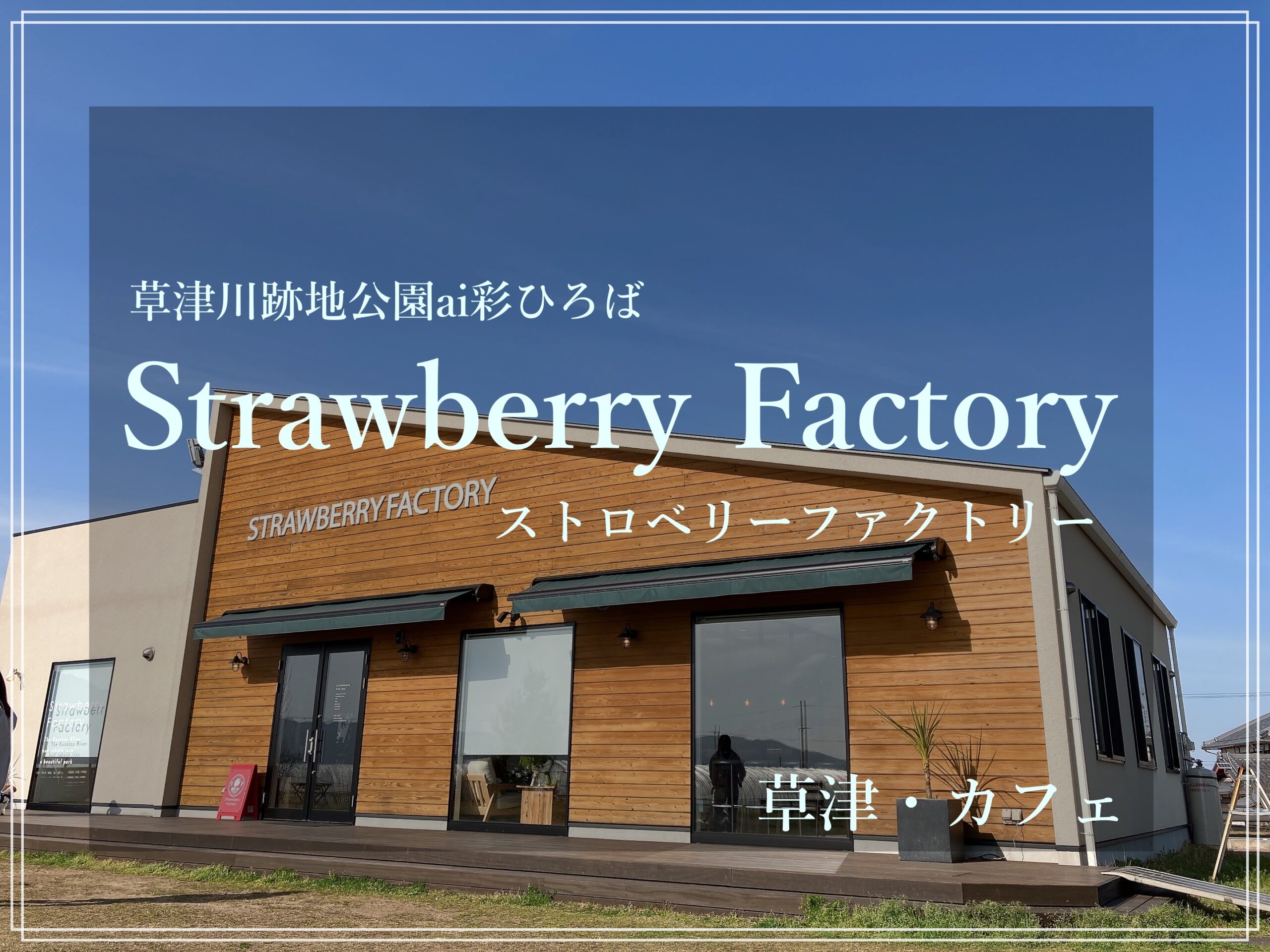 Strawberry Factory