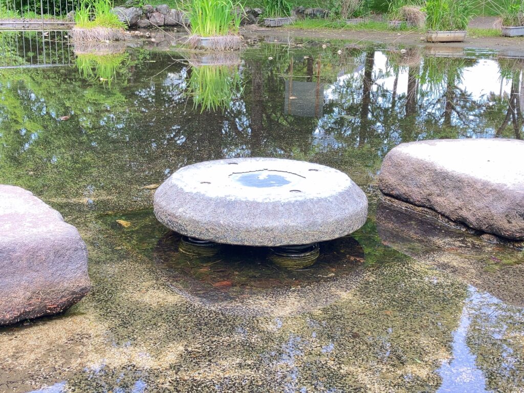 草津 ロクハ公園 水遊び