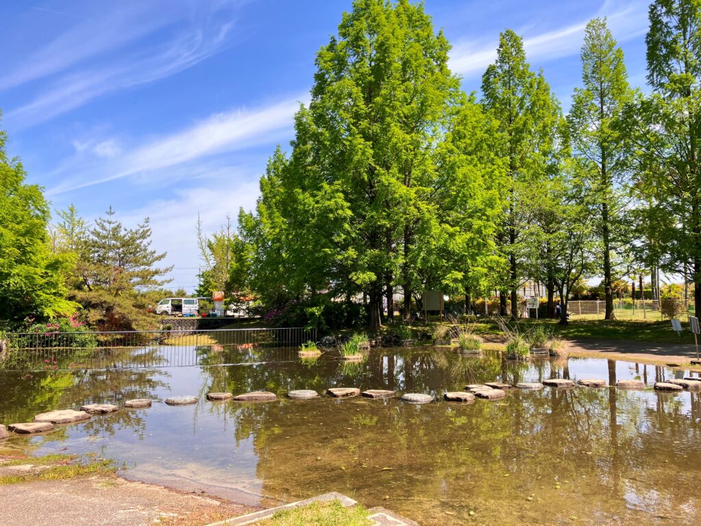 草津 ロクハ公園 水遊び