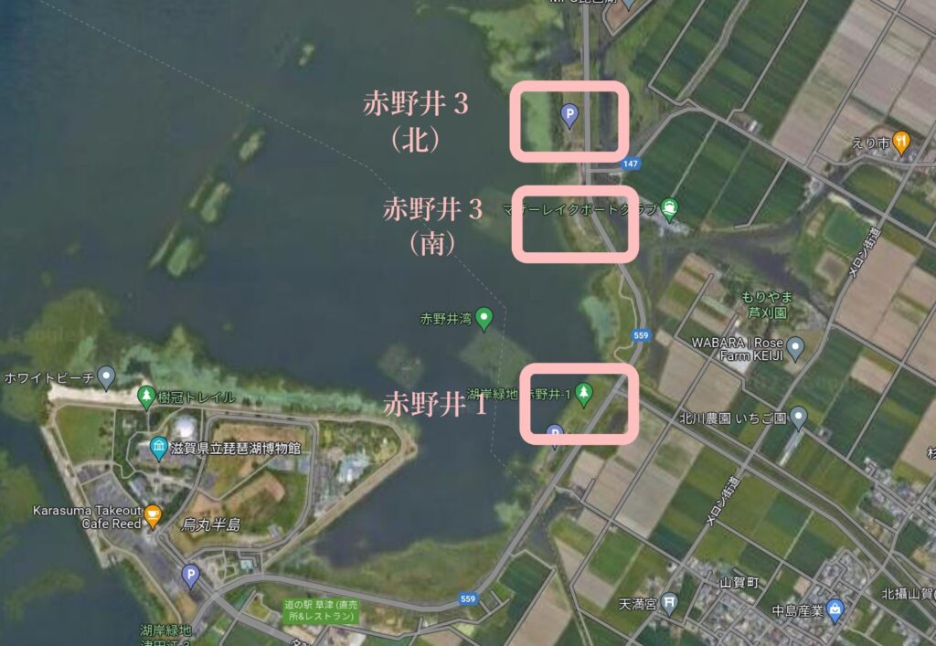 湖岸緑地 赤野井周辺地図