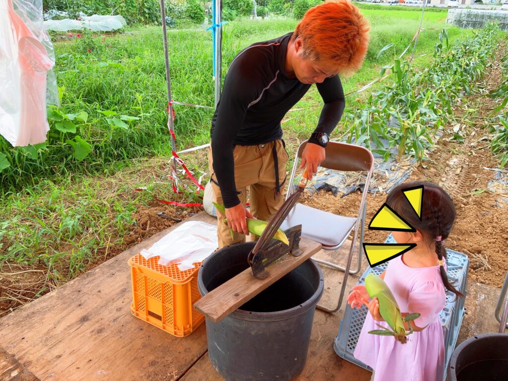 トウモロコシの茎を切る機械