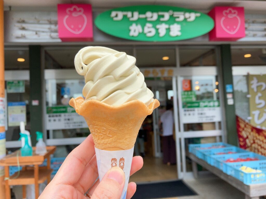 ベジカフェ あおばなソフト＜道の駅草津 グリーンプラザからすま＞