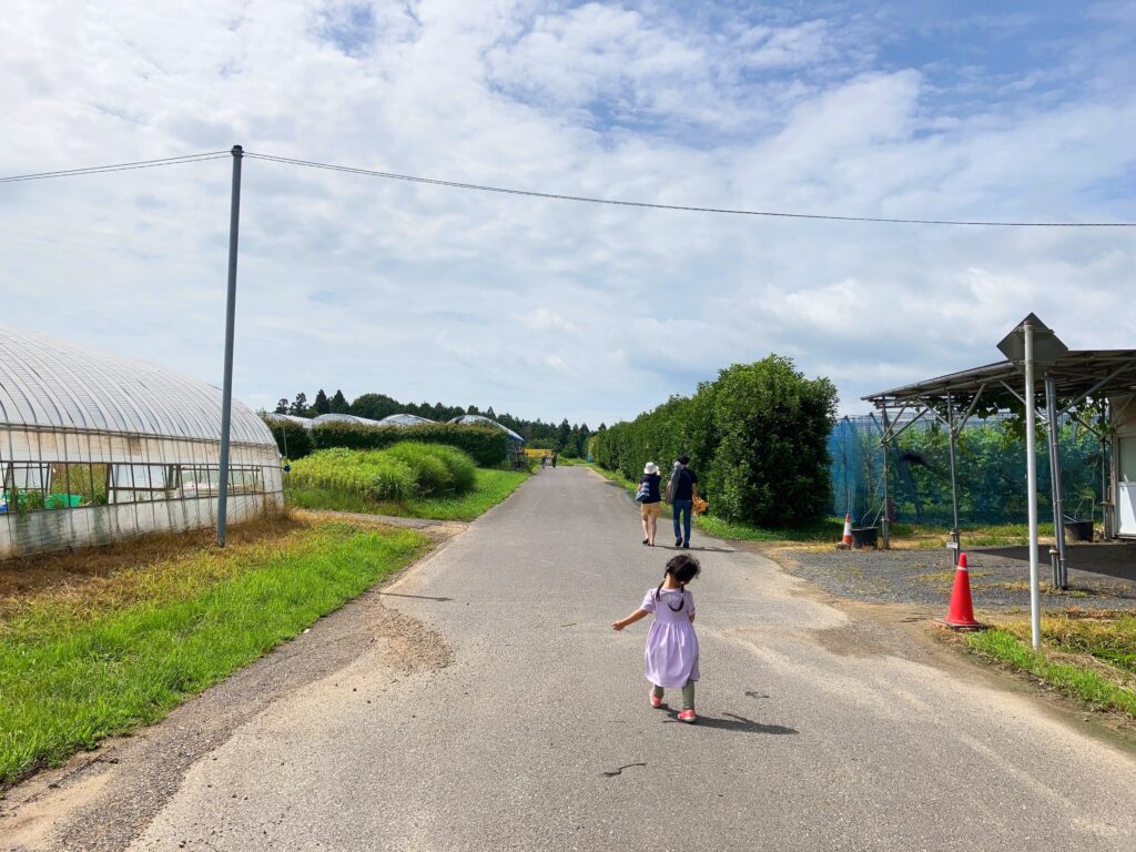 田園風景の道を歩く女の子