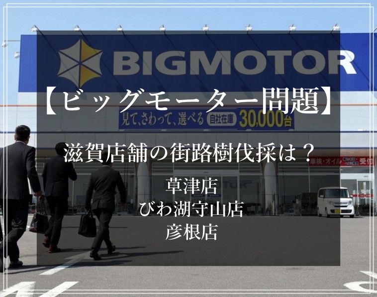 ビッグモーター 滋賀店舗の街路樹 草津 びわ湖守山 彦根