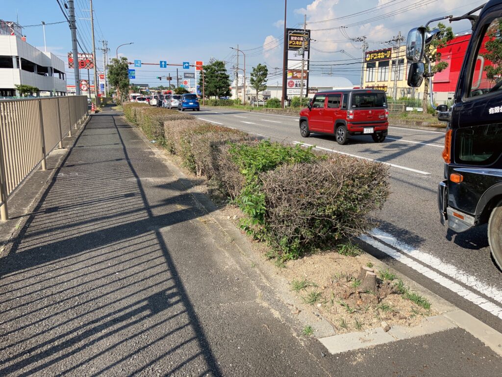 ビッグモーター草津店の街路樹が除草剤で枯れ、伐採されていた。