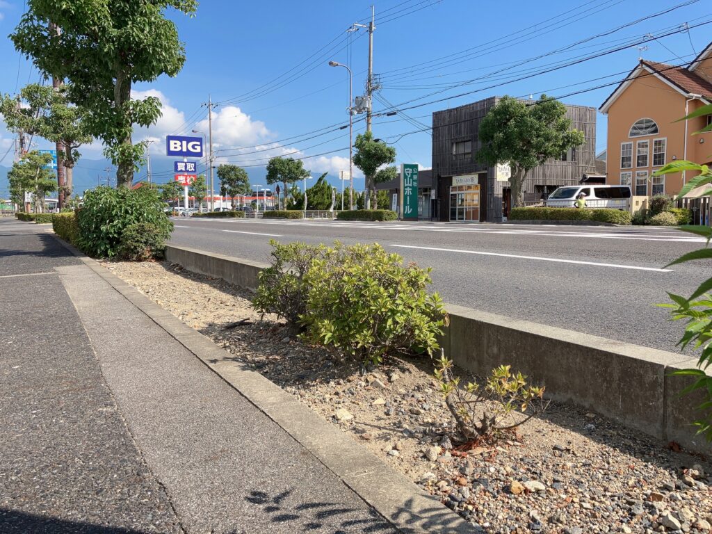 ビッグモーターびわ湖守山店 街路樹問題