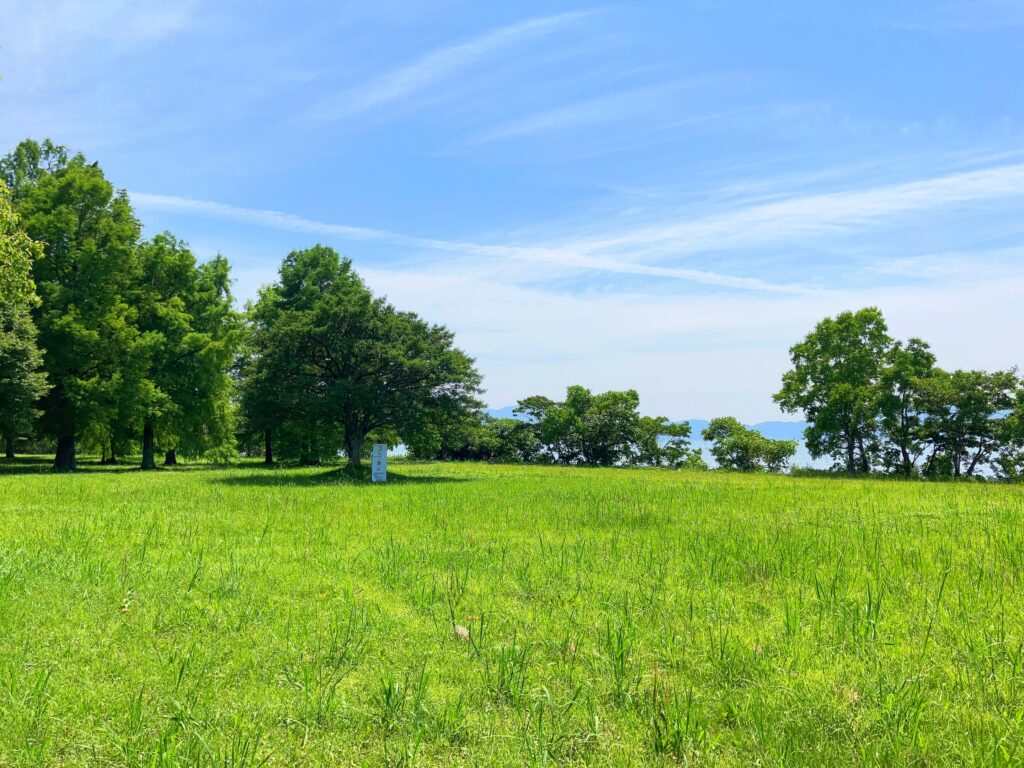 津田江１北 湖岸緑地 芝生広場