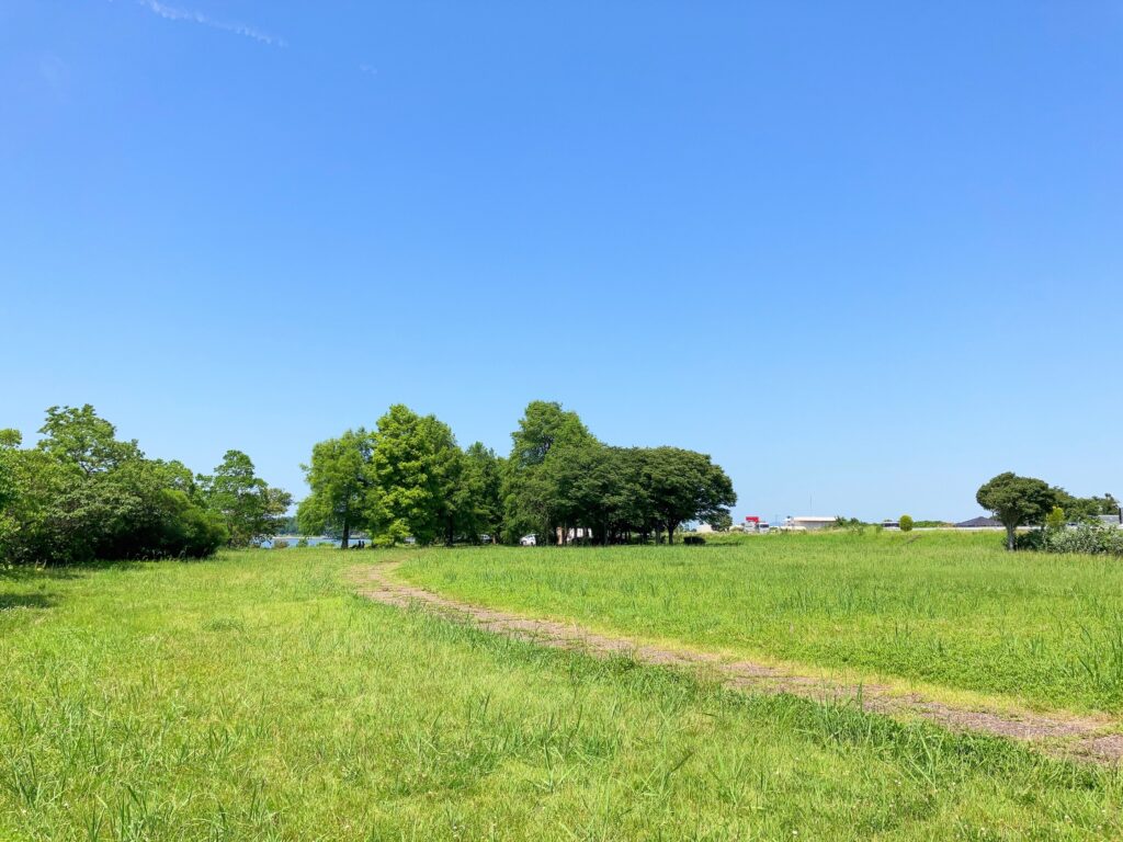 芝生広場＜津田江１北 湖岸緑地＞