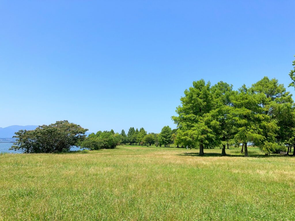 芝生広場＜津田江１南 湖岸緑地＞