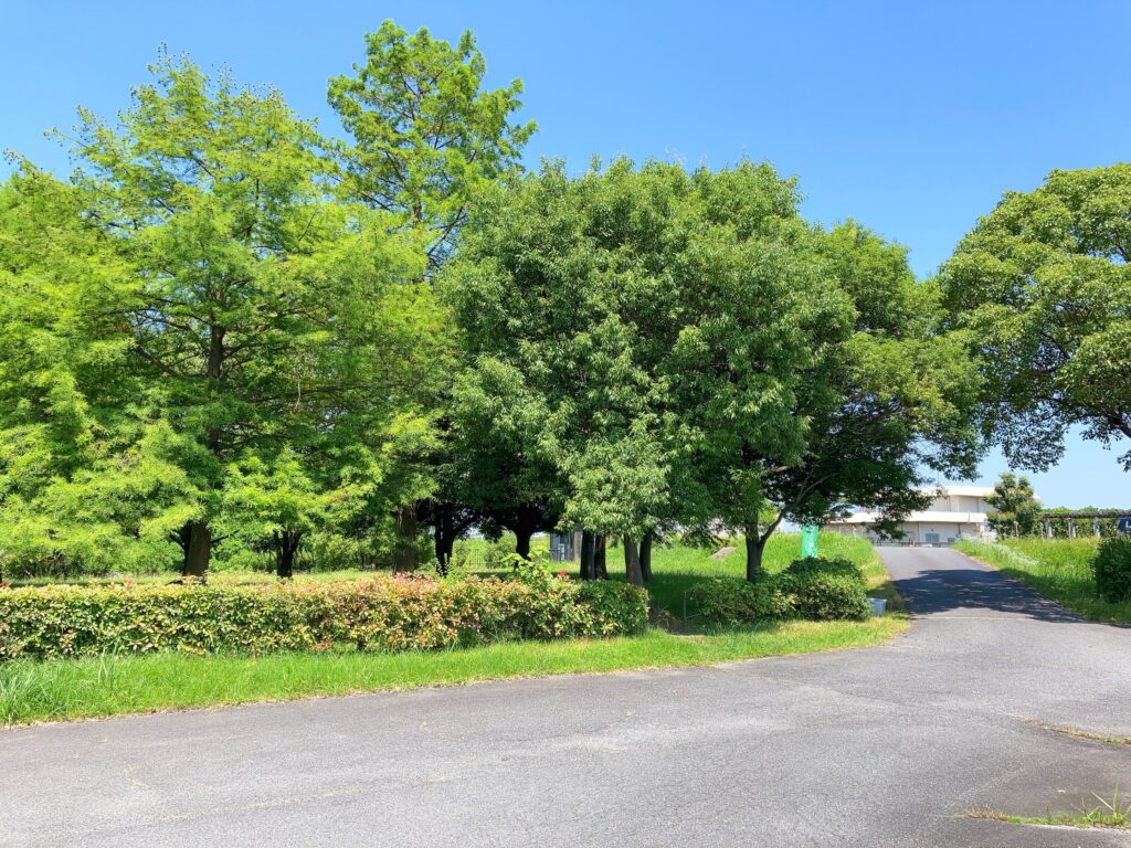 木陰エリア＜津田江１北 湖岸緑地＞