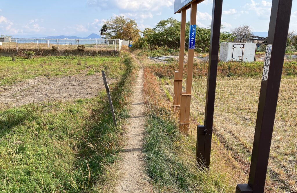 琵琶湖へ伸びるあぜ道