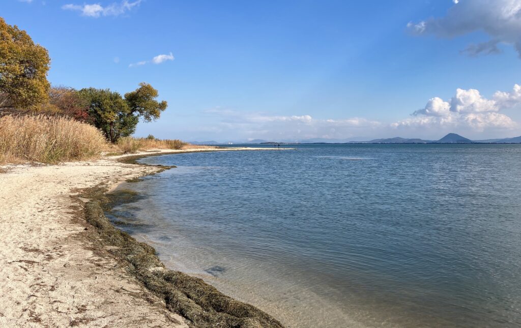 坂本城址公園に広がる白浜